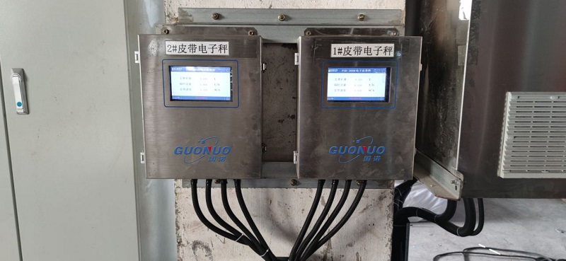 安琪酵母  M1皮帶秤2.jpg